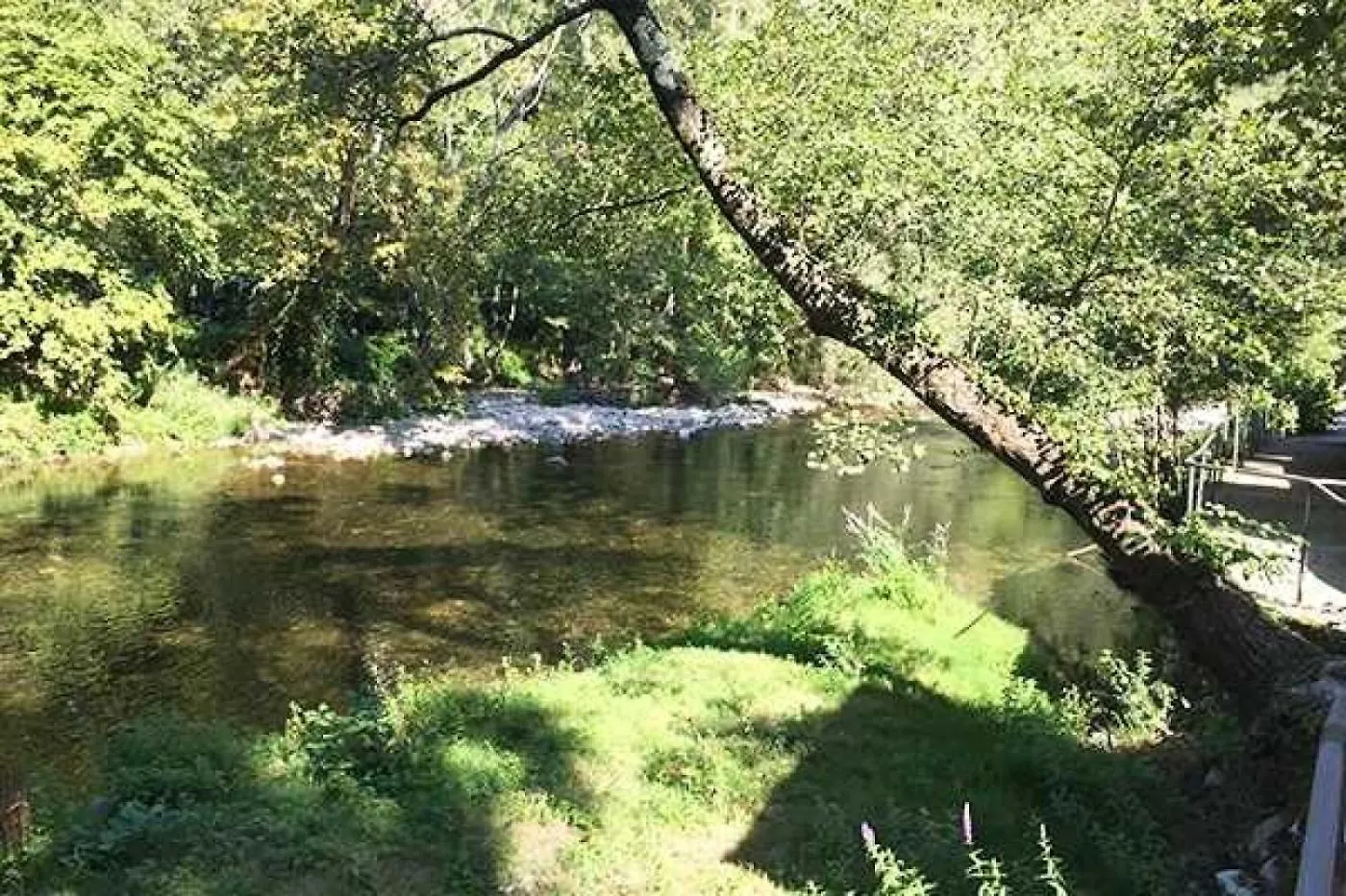Camping 4 Etoiles - Piscine - Ccb0Eab La Colle-sur-Loup France