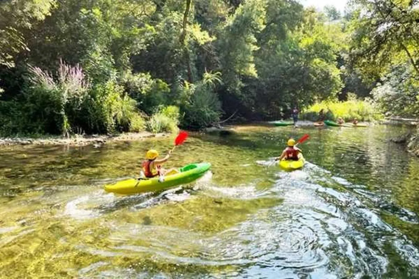 Camping 4 Etoiles - Piscine - Ccb0Eab La Colle-sur-Loup Campsite
